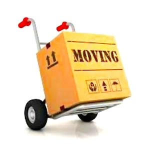 Moving sale! Bundle now and save!